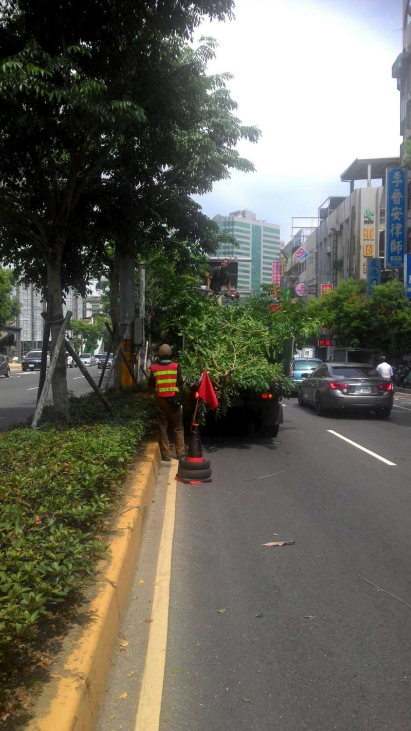 尼莎颱風來襲  市府加強梳理樹木