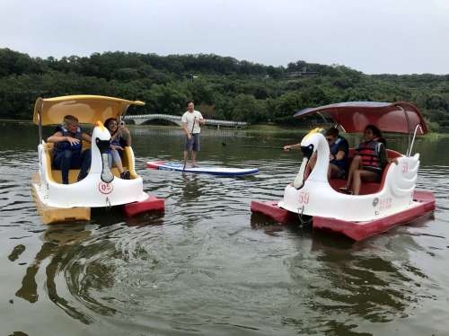 新竹市青草湖立式划槳回來了　加碼推出天鵝船提供遊客新選擇