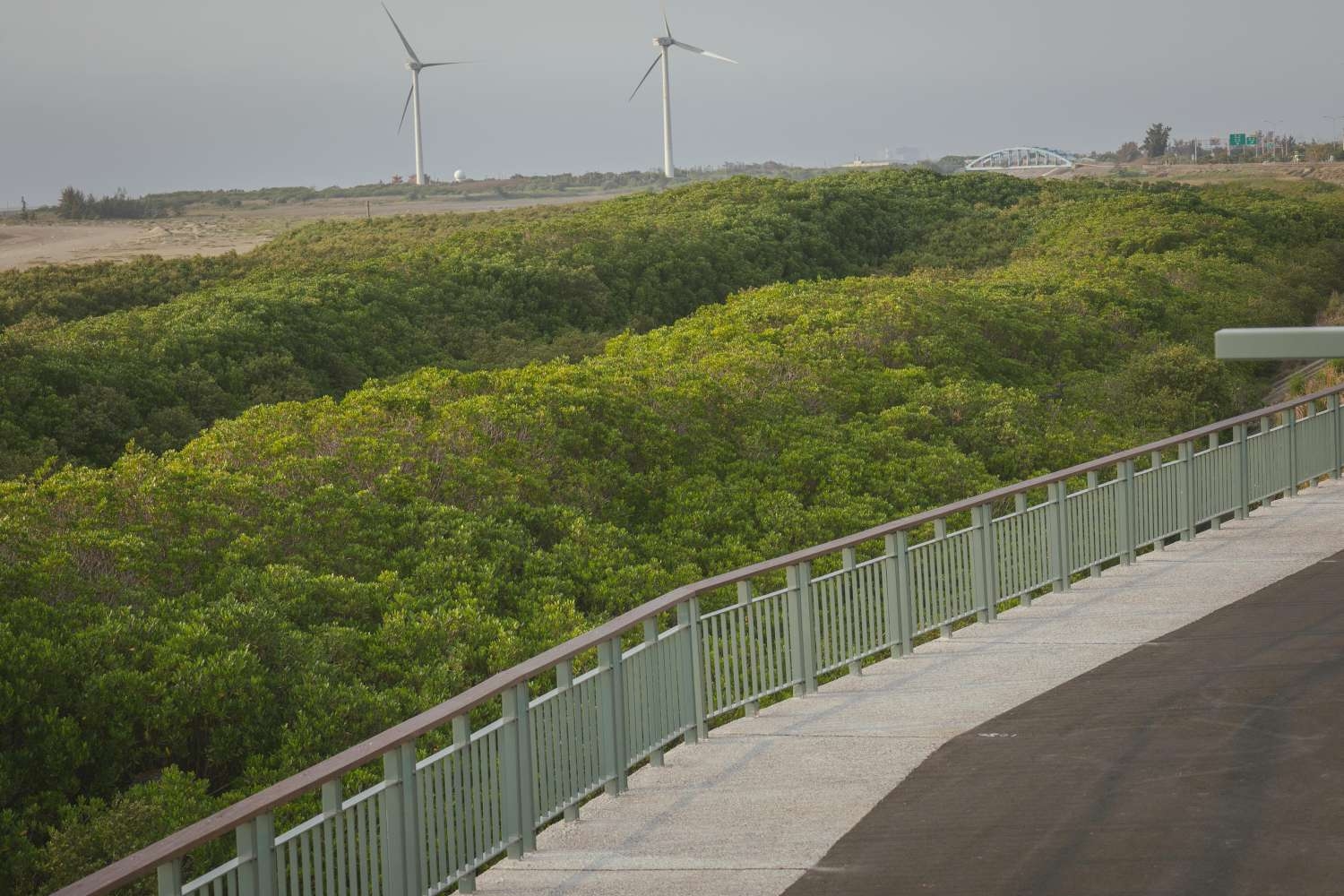 全新17公里海岸自行車道平坦舒適。