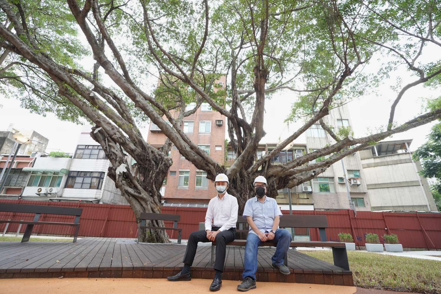 新竹市長林智堅與操刀興南公園改造的周書賢建築師，體驗新設樹蔭平台。